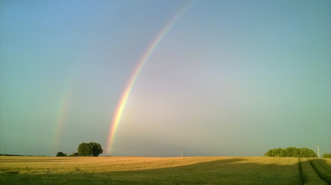 rainbow